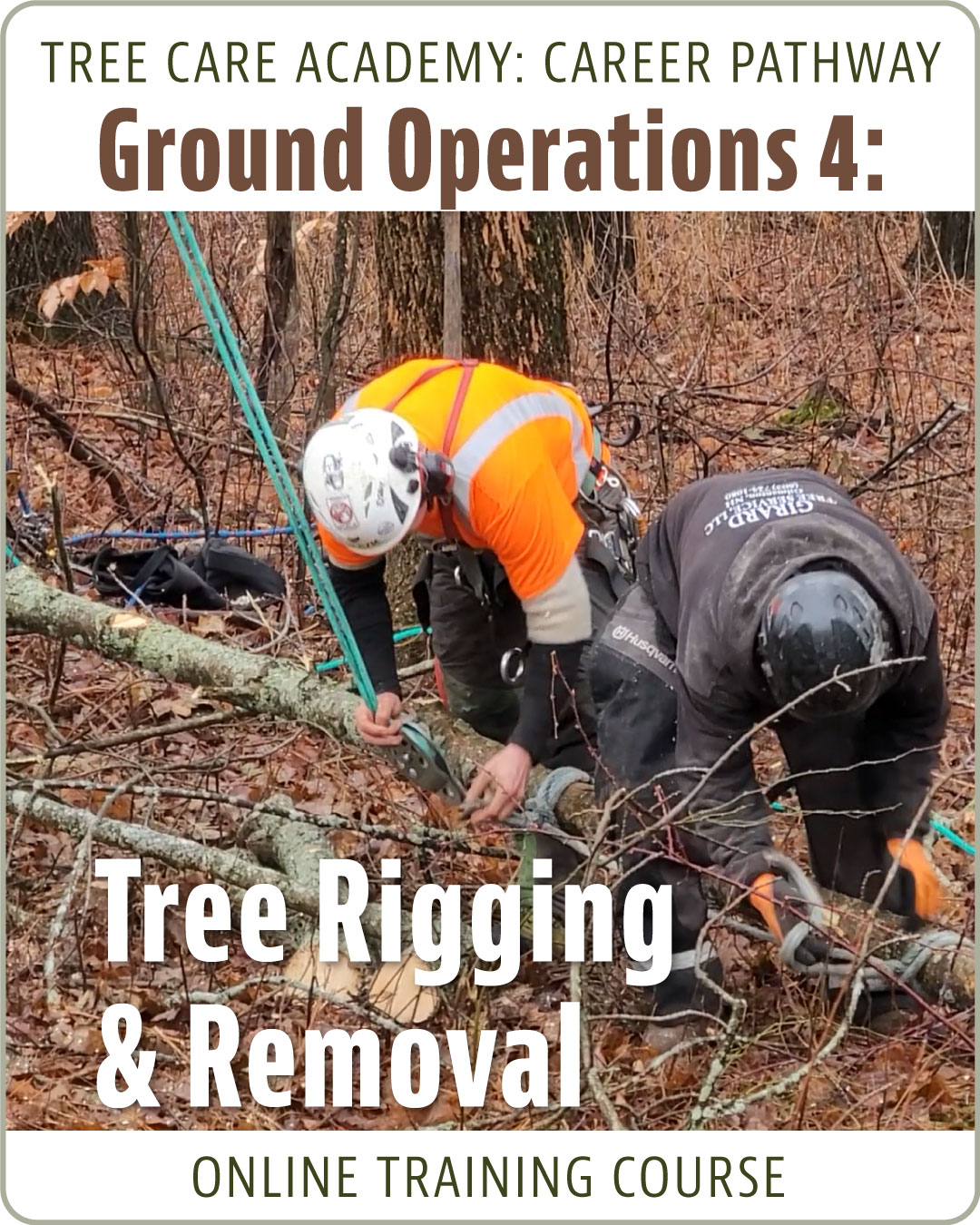 Ground Operations 4: Tree Rigging and Removal