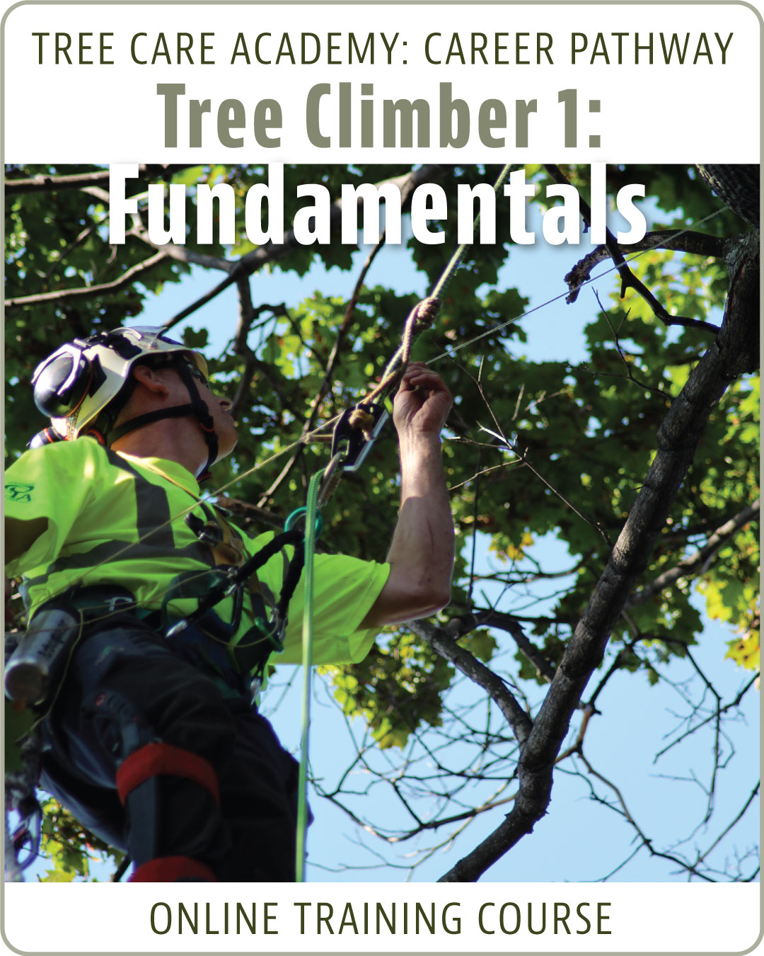Tree Climber Specialist 1: Fundamentals