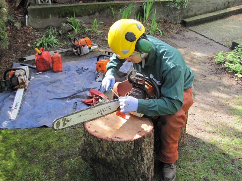 Tree worker inspecting a chain saw