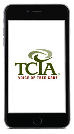 Cell phone with TCIA logo