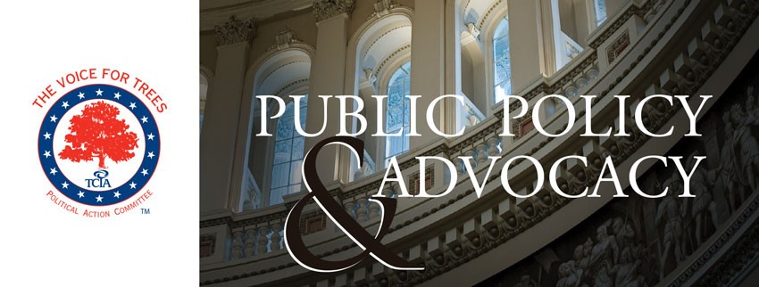 Public Policy & Advocacy