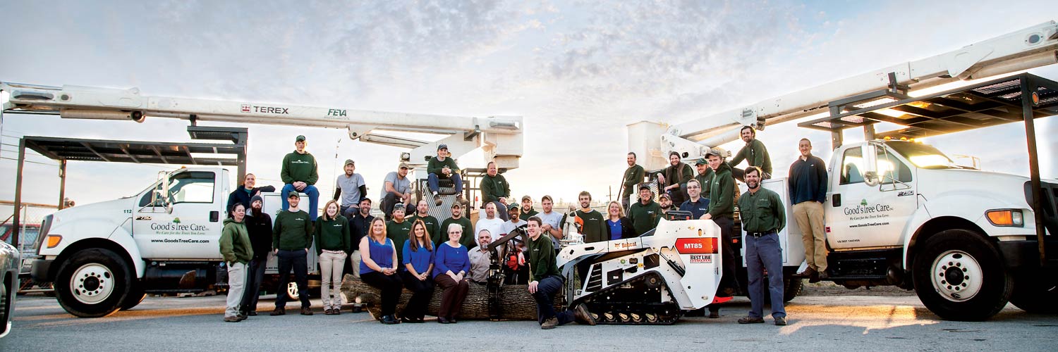 Good’s Tree Service, TCIA Accredited Company