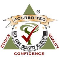 Accreditation Logo