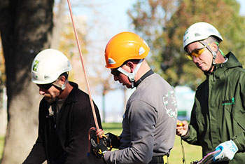 Certified Treecare Safety Professional (CTSP) program