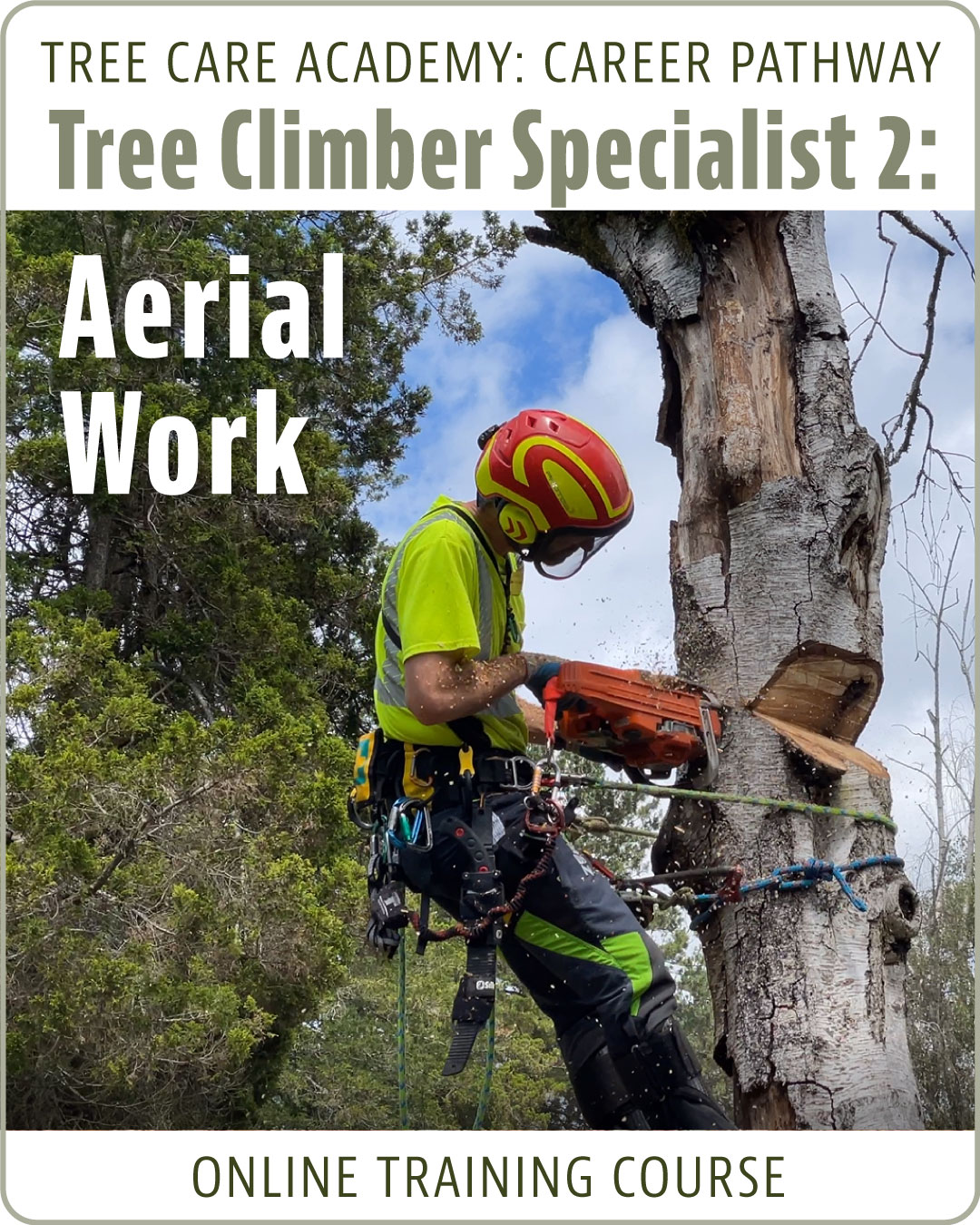Tree Climber Specialist 2: Aerial Work Specialist