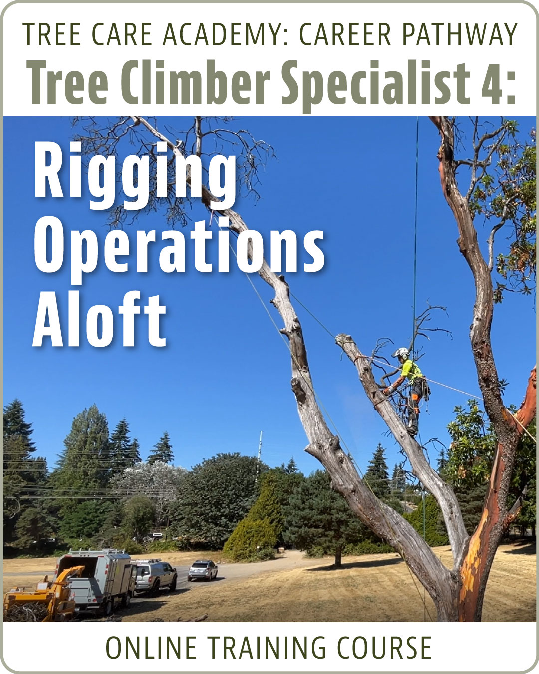 Tree Climber Specialist 3: Climbing Aerial Rescue
