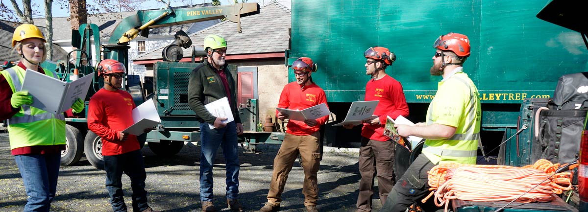 tree care team holding a tailgate meeting