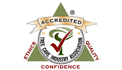 TCIA accreditation