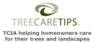 treecarretips