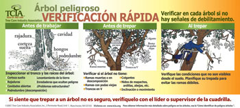 Hazard Tree Quick Check Decals - Spanish